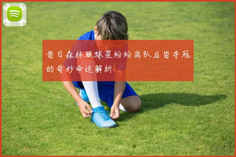 昔日森林狼球星纷纷离队后皆夺冠的奇妙命运解析